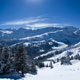 Snow fence