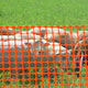 Square mesh in use